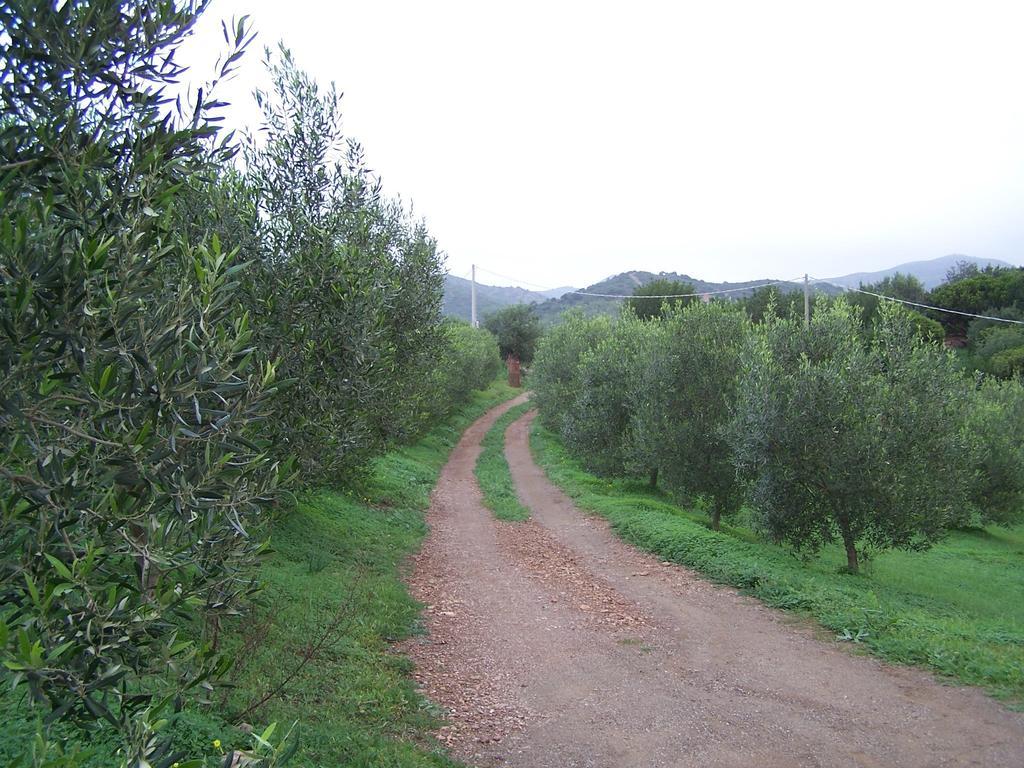 Nurazzolas Villaputzu Exteriér fotografie